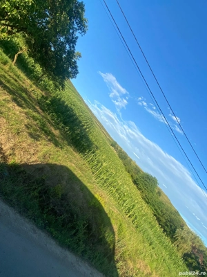  Teren intravilan 5000 mp. front 38.  - imagine 5