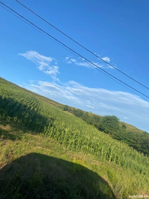  Teren intravilan 5000 mp. front 38.  - imagine 2