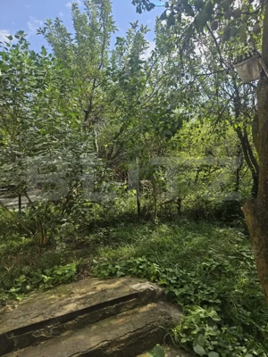 Casa individuala, 200 mp utili, 780 mp teren, zona TCI, Borhanci! - imagine 18