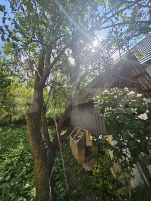 Casa individuala, 200 mp utili, 780 mp teren, zona TCI, Borhanci! - imagine 17