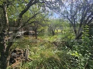 Casa individuala, 200 mp utili, 780 mp teren, zona TCI, Borhanci! - imagine 6