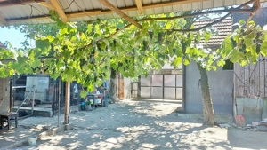 Casa de vanzare in Tinca, Bihor - imagine 17