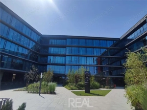 Inchiriere spatiu de birouri in cladire noua Miro BC - 187 MP