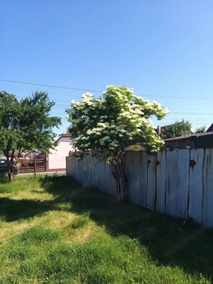 Teren in vatra satului