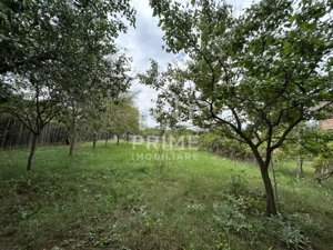 Teren extravilan , 1200 mp , zona cetate 