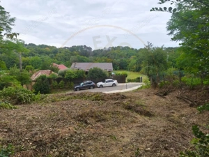 Teren intravilan Mosoaia - Hintesti - imagine 2