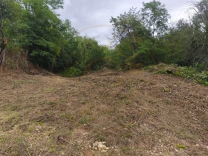 Teren 2552 mp x 14€ Mosoaia Hintesti -Strada  Basangesti - imagine 2