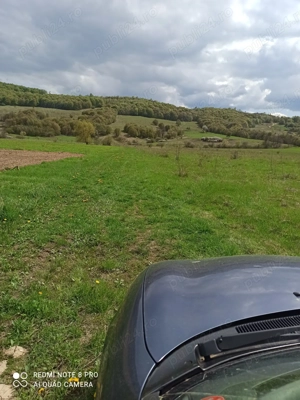 vand teren Targu Lapus 8.8ha