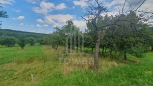 Teren de vanzare in Sibiel . - imagine 3