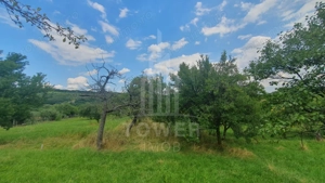 Teren de vanzare in Sibiel . - imagine 5