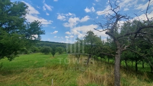 Teren de vanzare in Sibiel . - imagine 6