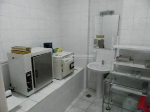 Vila 9 Camere, Curte Proprie, Mosilor-Eminescu - imagine 4