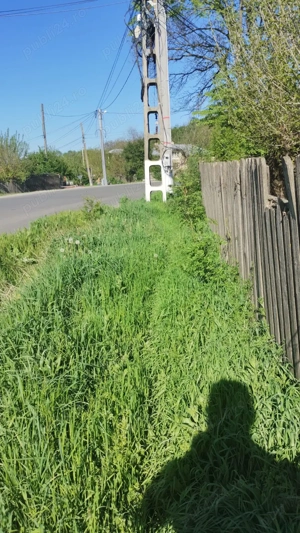 Vând teren 1500mp2 Stoenesti-Giurgiu - imagine 6