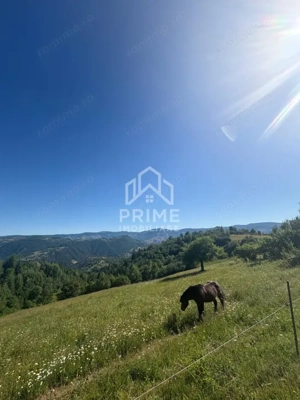 Teren intravilan de vânzare – 11.136 mp | ALBAC | CU POSIBILITATE DE PARCELARE |