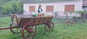 Păstrează o bucată din trecutul autentic românesc! De vânzare, car cu jug din lemn - imagine 2