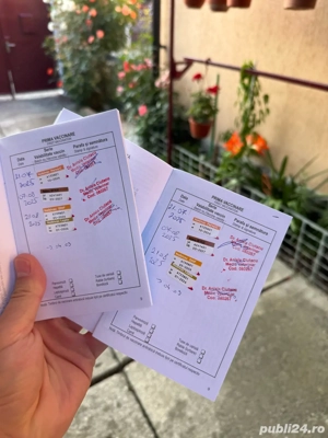 Pui Akita Inu femela