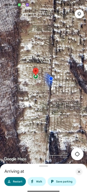 Teren extravilan Pietrosani, Arges - imagine 2