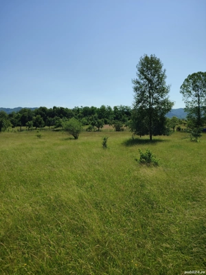 Teren extravilan Pietrosani, Arges - imagine 3