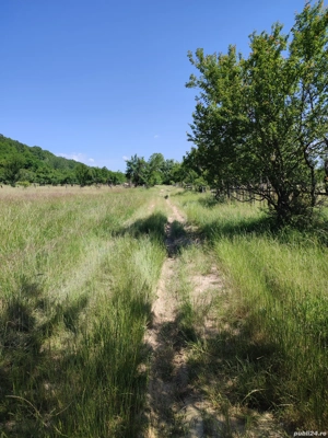 Teren extravilan Pietrosani, Arges - imagine 5