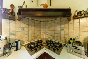 Locuiește lângă pădure, dar cu toate facilitățile la îndemână - imagine 10