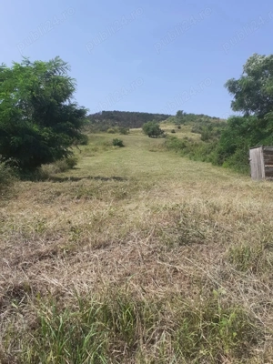 Vând teren intravilan Vurpăr  - imagine 2