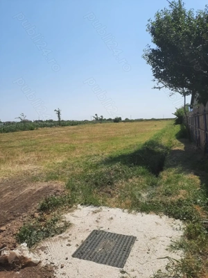 Teren pt casa Odaia Manolache,Vanatori - imagine 3