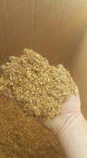 tutun tocat   fara ipuritati