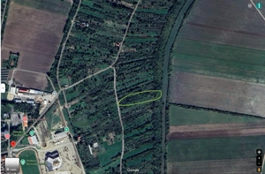 De vânzare 14,19 ari vie (intravilan) la Salonta - imagine 9