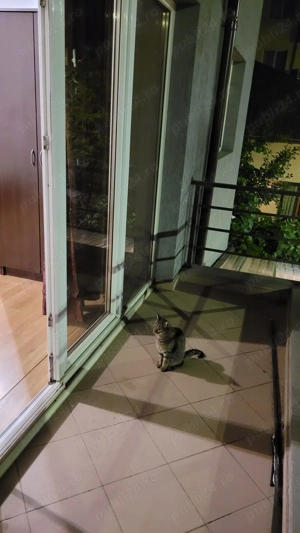 Inchiriez garsoniera Aparatorii Patriei Universitatea Spiru Haret - imagine 9