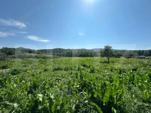 Casa saseasca de vanzare, curte, gradina, teren 3000 mp - Jimbor, jud Brasov - imagine 7