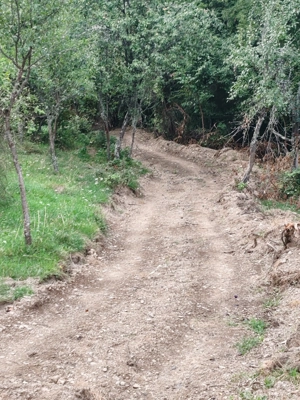 Vând pământ în interiorul parcului DOMOGLED la 20 km de HERCULANE - imagine 9