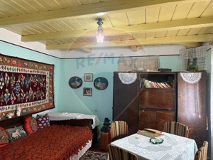 Teren intravilan 4.779 mp + casă și anexe – Girov, Neamț - imagine 11