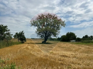 Teren intravilan 4.779 mp + casă și anexe – Girov, Neamț
