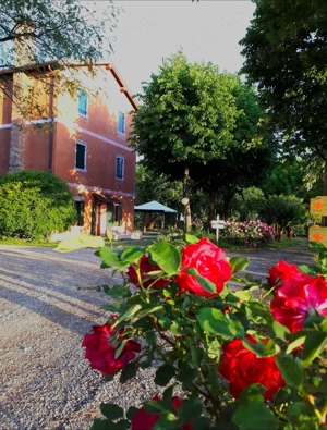 De vânzare: Casă rustică Veneția