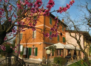 De vânzare: Casă rustică Veneția - imagine 5