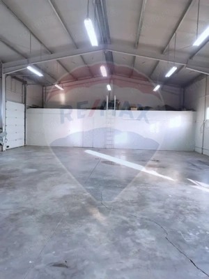 Hală cu acces TIR si teren de închiriat Arad. De la 600 euro/150 mp - imagine 2