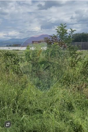 Teren 2,411mp Sighetu Marmatiei / Strada Teplitei