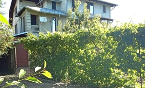 Casă p+1 în Măgurele  - imagine 18