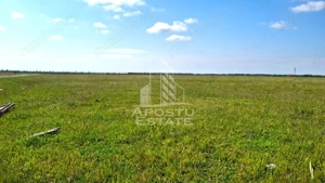 Teren Intravilan cu PUZ, ideala pentru Dezvoltatori