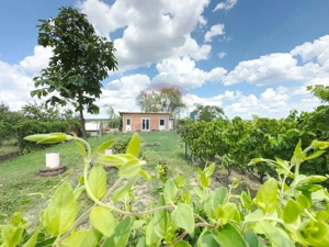 Casa de vanzare in Recas - imagine 14