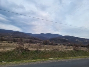 Teren 1000 mp la deal, Cuvin