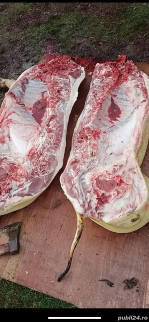 porci rasa de carne  - imagine 2