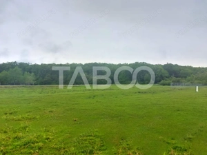 Teren intravilan 712 mp PUZ APROBAT aproape de DJ zona Versailles - imagine 5