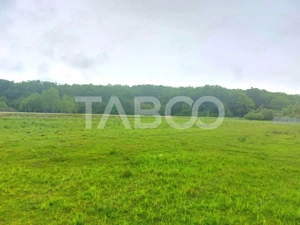 Teren intravilan 712 mp PUZ APROBAT aproape de DJ zona Versailles - imagine 4