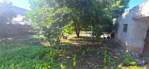 Duplex, personalizabil, cu 1.000 mp teren, Prejmer, Brasov - imagine 10