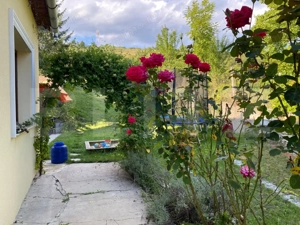 Casa renovata integral – Suceagu, com. Baciu  | Teren 1950 mp - imagine 13