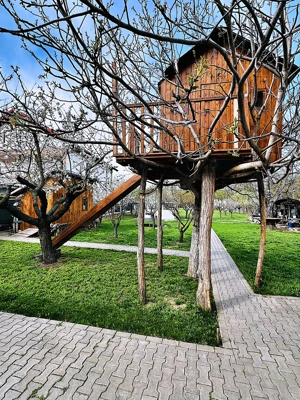 Proprietate unică în centrul Buftei   1.807 mp teren + 2 case + grădină superbă. - imagine 10