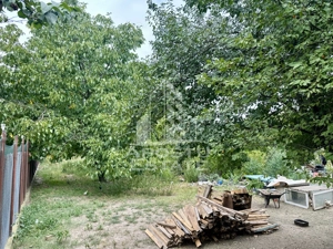 Teren 1084 mp in Dumbravita, vatra satului - imagine 2