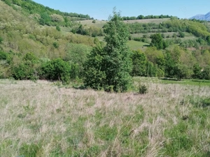 Teren de vânzare Vălișoara, Alba - imagine 2 Teren de vânzare Vălișoara, Alba - imagine 2