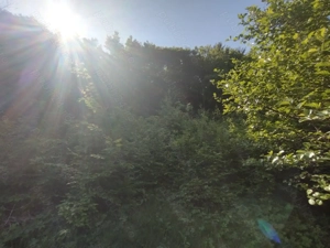 Teren de vânzare Vălișoara, Alba - imagine 4 Teren de vânzare Vălișoara, Alba - imagine 4